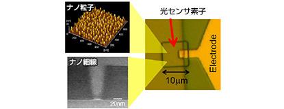 ナノ粒子とナノ細線を用いた光検出器　画像